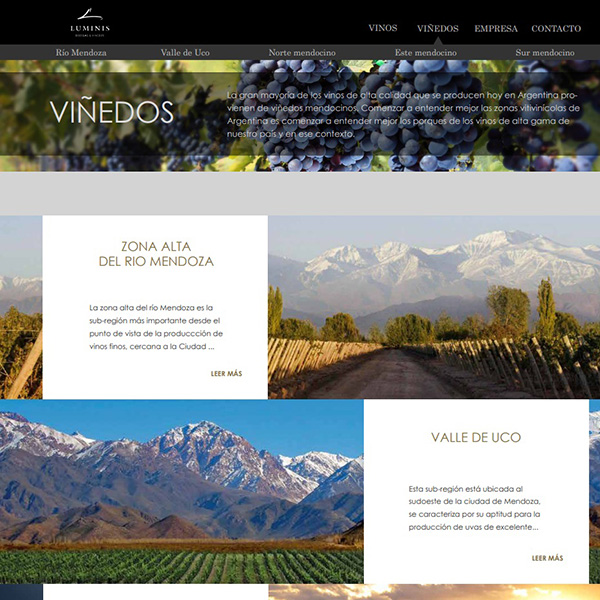 Diseño web - Viñedos
